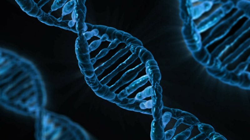  Cara mengatasi rambut rontok berlebih - DNA
